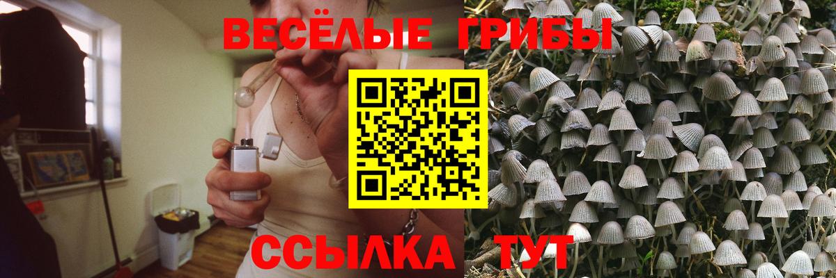 Братск  Галлюциногенные грибы прущие грибы  Псилоцибиновые грибы GOLDEN TEACHER  Вход с VPN 